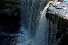 7516488032_IMG_7614