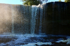 7516489568_IMG_7622