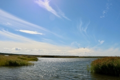 7516540208_IMG_7464