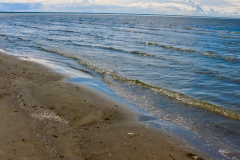 7518606208_IMG_7420