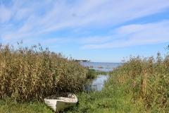 7583621952_IMG_7711
