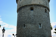 7650720544_IMG_7524