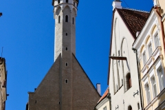 7652787936_IMG_7598