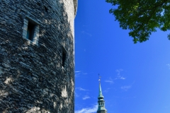 7717827632_IMG_7521