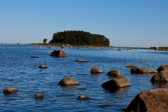 7789146352_IMG_7687