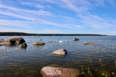 7789147888_IMG_7697