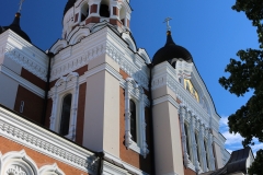 7793301200_IMG_7537