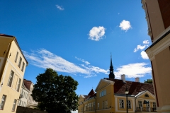 7793315120_IMG_7540