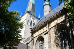 7795454848_IMG_7570