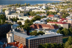 7795500256_IMG_7475