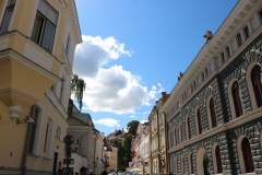 7801682656_IMG_7582