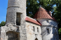 7801685536_IMG_7603