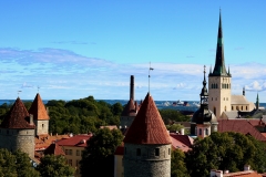 7856299616_IMG_7554