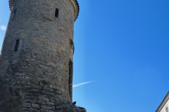 7858321552_IMG_7608