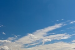 7858345600_IMG_7417