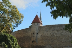 7862495648_IMG_7530