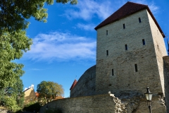7862507024_IMG_7525