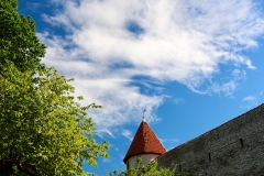 7862515952_IMG_7526