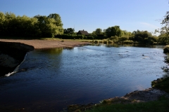 7862549216_IMG_7611