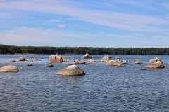 7862602064_IMG_7692